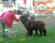 Превью фото № 238758