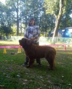 Превью фото № 238759