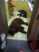 Превью фото № 238761