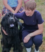 Превью фото № 238773