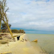 Превью фото № 238783