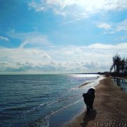 Превью фото № 238784