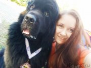 Превью фото № 238834