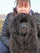 Превью фото № 238858