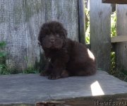 Превью фото № 238906