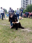 Превью фото № 238957