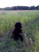 Превью фото № 238963