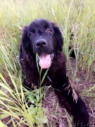 Превью фото № 238964