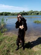 Превью фото № 238974