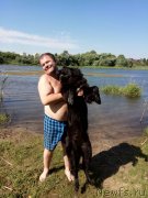 Превью фото № 238977