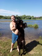 Превью фото № 238978