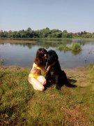 Превью фото № 238982