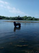 Превью фото № 238984