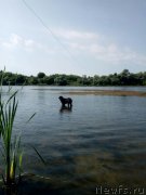 Превью фото № 238985