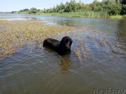 Превью фото № 238987