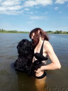 Превью фото № 238990