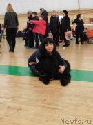 Превью фото № 239043