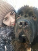 Превью фото № 239057