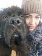 Превью фото № 239058