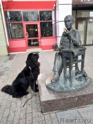 Превью фото № 239059