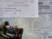 Превью фото № 239068