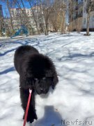 Превью фото № 239092