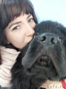 Превью фото № 239094