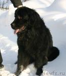 Превью фото № 23924