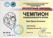 Превью фото № 239258