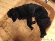 Превью фото № 239262