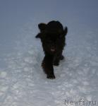 Превью фото № 23936