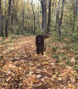 Превью фото № 239381