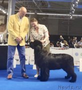 Превью фото № 239596