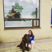 Превью фото № 239605