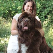 Превью фото № 239608