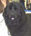 Превью фото № 23966