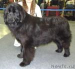 Превью фото № 23967