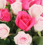 Превью фото № 23978