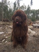 Превью фото № 239958