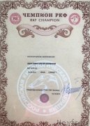 Превью фото № 239960