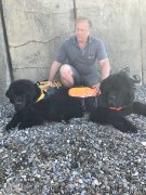 Превью фото № 240042