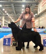 Превью фото № 240084