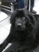 Превью фото № 240096