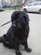 Превью фото № 240099