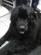 Превью фото № 240100