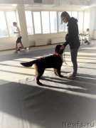 Превью фото № 240121