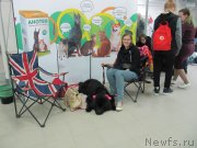 Превью фото № 240124