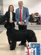 Превью фото № 240132