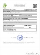 Превью фото № 240175