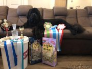 Превью фото № 240177